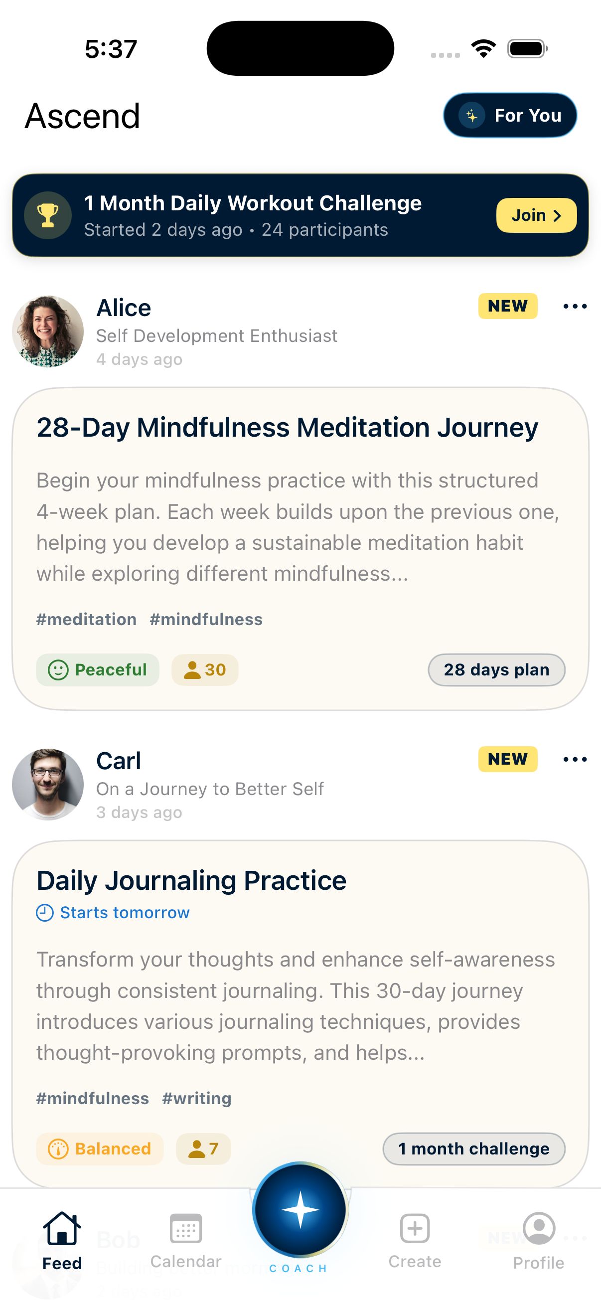 Ascend App Preview